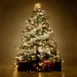 彡(^)(^)「クリスマスイブにツリーを買ったで！」(優しいレスで溢れかえるんやろなぁ…)
