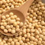 日本ってこんなに大豆食うのになんでほとんど輸入なん？