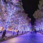 暑いのと寒いのどっちが嫌だ？