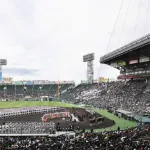 センバツ、夏の甲子園、明治神宮大会でビデオ判定導入へ