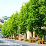 神奈川県「人口減少で衰退する駅」の特徴　「あざみ野」ほか東急田園都市線のブランド神話に変化の兆し