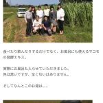 【朗報】参政党・神谷さん、マコモ湯に入浴していた「色は黒いですが、全く匂いはありません」