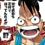ルフィー「仲間が残業してんのに、何でお前ら定時で帰ってんだよ！！！」