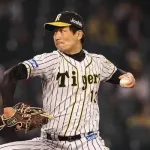 岩崎優『53試合で失敗6試合です』←これマジでどうなん