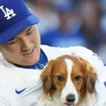 大谷出場WBCチケット高額転売アイドル怒り「臨、兵、闘、者、皆、陣、列、在、前、滅！」