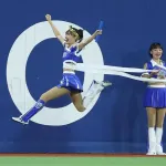 【悲報】球場のお客さんは「プロ野球」を観に来ていない