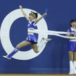 【悲報】球場のお客さんは「プロ野球」を観に来ていない