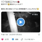 【悲報】動物愛護女さん「これじゃクマさんが危ない…！」  深夜の山奥に現れクマの罠を解除してしまう