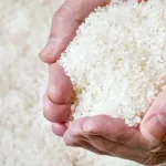 【悲報】米卸「高値で集めたのに誰も買わん！国が買い取れや！！」