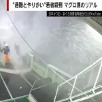 マグロ漁船(航海期間10カ月、最低保障500万円、とれ高によるボーナスあり1000万円も可)←どうやろ?