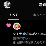 【朗報】人気芸人やす子さん、攻撃してくるアンチにもいいねで対応