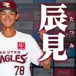 カープ現ドラ辰見鴻之介の取り扱い説明書!楽天ファンが解説