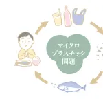 【朗報】マイクロプラスチックさん、忘れられる