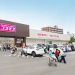 コスモスとか言う謎の現金オンリーのドラッグストア、田舎で無双