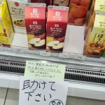【悲報】セブンイレブン、大量誤発注…「助けてください😢」