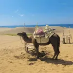 鳥取県←なに思い浮かべた？