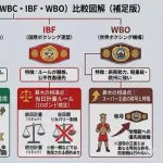 【悲報】ボクシングの団体、多すぎる