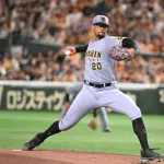 デュプランティエ 1.39 6勝3敗 90.2回 奪三振率11.22 被打率.168 WHIP0.81 K/BB5.65