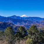 【急募】今日暇やから「高尾山」行ってもええか？ｗｗｗｗｗｗｗｗｗｗｗｗｗｗｗｗ