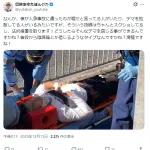 ゆたぼんさん、遂にキレた！「僕の交通事故を嘘だと言ってる人達は訴えます」