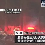養豚場で火災発生、なんの罪もない豚さん470頭が焼け死ぬ