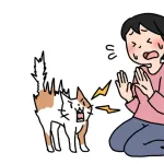 ネコと仲良くなる方法