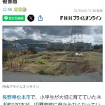 へずまりゅう議員、大切に育てたネギ１００本を盗まれて悲しむ小学生たちにネギ１００本を寄付☺