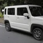 18歳になったら親に車買ってもらうのが普通と思ってたわ
