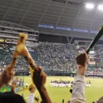 今この阪神のファンであり応援できるのは幸せなのかもしれん
