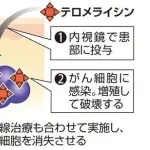 癌細胞だけを殺すウイルスを岡山大が発見！ 治療薬として既に厚労省に申請済み