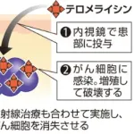 【朗報】癌細胞だけを殺すウイルスを岡山大が発見！治療薬として既に厚労省に申請済みｗｗｗｗｗ