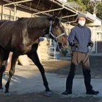 【朝日杯FS】 リアライズシリウスの単勝に1000万円級の大口投票　前売り1番人気に