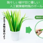 お前らが最近保存した画像を貼るスレ