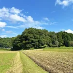 田舎に住んでる奴の楽しみって何なん？