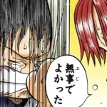 シャンクス聖「安いもんだ…(天竜人に召喚される入れ墨入った)腕の一本ぐらい…」