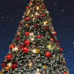 クリスマスイブなのに何してるの？