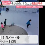 【悲報】すり鉢タイプの遊具から出られなくなった子供を助けに入った大人二人が骨折