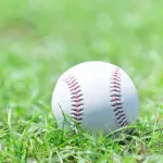ワイ「NPB16球団構想に賛成」敵A「場所は？」敵B「レベルは？」敵C「どこの企業がやりたがるねん」