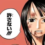 【ワンピース】ロビンが最後に倒した中ボスwwwwwwwww