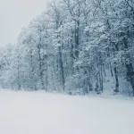 【悲報】雪国民「さっっむ！雪やっっば！ここに住むか！」