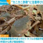 【朗報】勝手にカニを送り付ける「カニカニ詐欺」　消費者庁「すぐに処分 支払い必要なし」