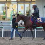 【有馬記念】 レガレイラが悪の陣営みたいになってて悲しいわ