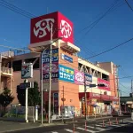 「ロピア」←こいつが天下取った理由
