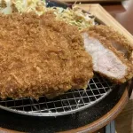 トンカツに塩つけて食う奴www