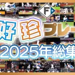 新庄監督就任後の日ハムの補強www