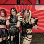 【画像】最近の女子プロレスの悪者軍団、なんかちょうどいいと話題に！