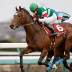有馬記念　タスティエーラの取捨選択