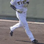 プロ野球選手って歴代で色んな山田がいるけど名前知らない山田おるよな