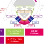 カープ年間指定席2026年は売れ残ってる説「新規で買えた！」という報告も