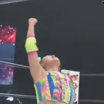 【動画】フワちゃん、ガチでプロレスラーとして頑張ってる模様